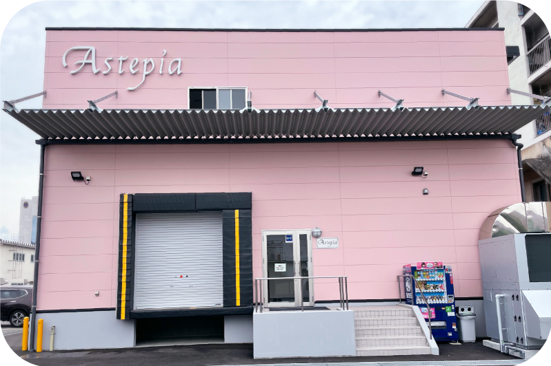 アステピア 会社概要