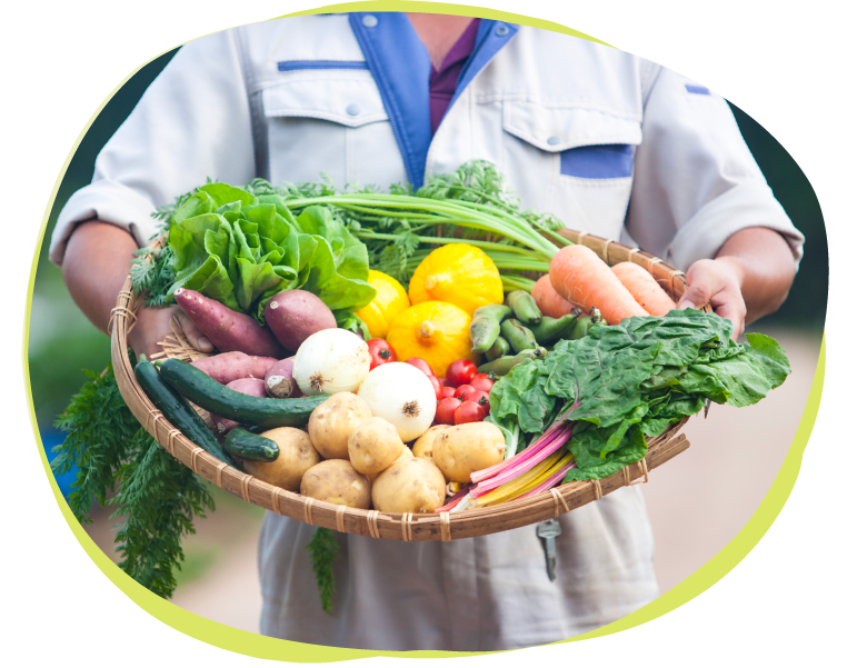 ポイント3 楽天ファームの国産オーガニック野菜を使用